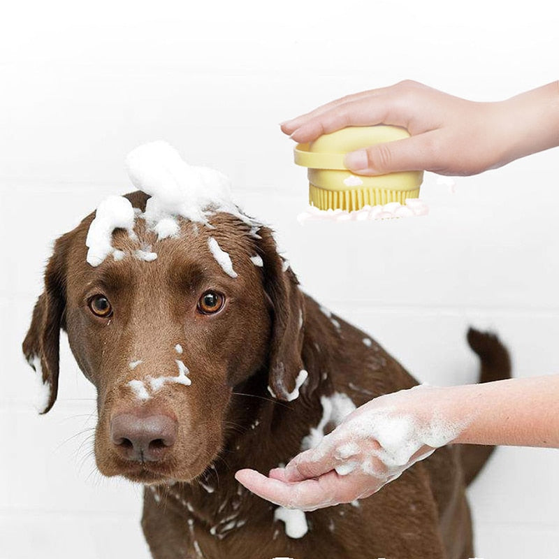 Escovinha PET para banho com Dispenser de Shampoo